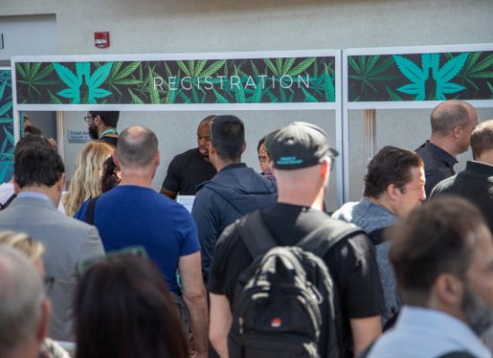 Cannabis Drinks Expo