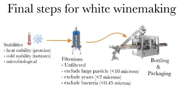 Final Steps for white winemaking