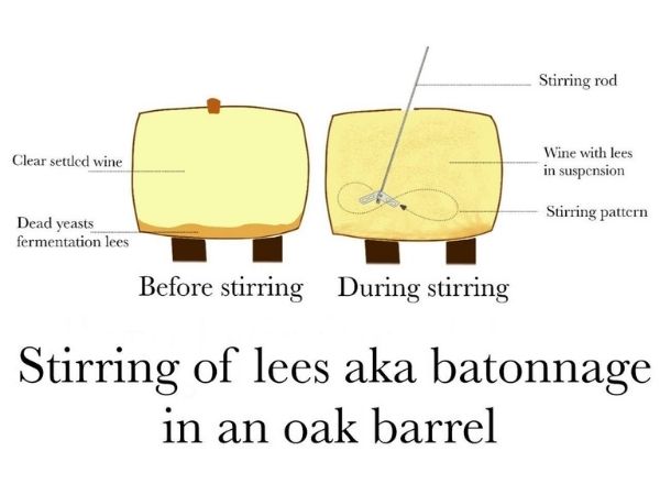 Stirring of lees aka batonnage in an oak barrel