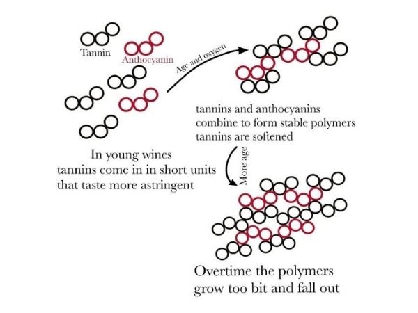 Tannin and anthocyanin chemistry