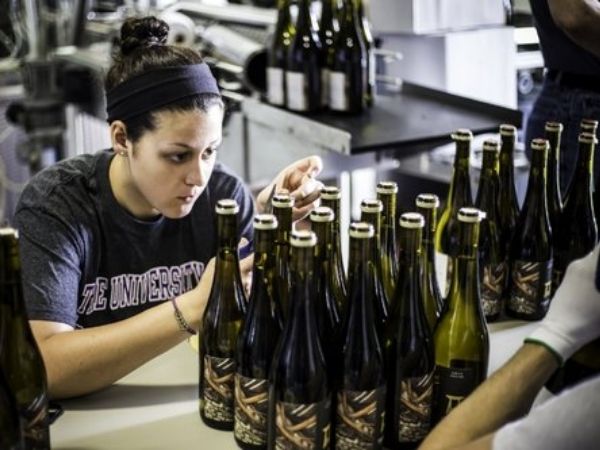 Wines being prepared at the winery