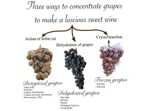 3 ways to concentrate grapes to make a luscious sweet wine