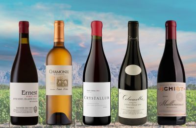 Photo for: Mastering the Pairing: South African Wines and Global Cuisines