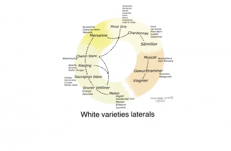 Photo for: Summary of major white wine varieties