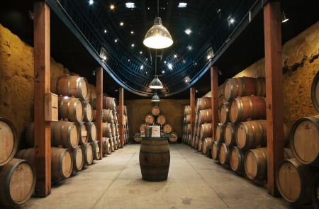 Photo for: Mexico's Blooming Wine Region: Valle de Guadalupe
