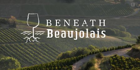 Photo for: Wines of Beaujolais To Host A Seminar at 2024 USA Trade Tasting