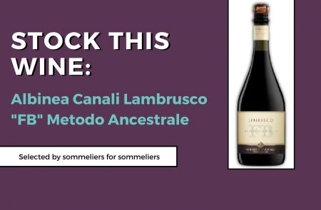 Photo for: Stock This Wine: Albinea Canali Lambrusco 