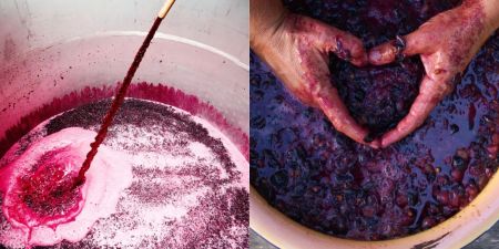 Photo for: Options for Pre- and Post-Fermentation Maceration in Winemaking: What Sommeliers Should Know