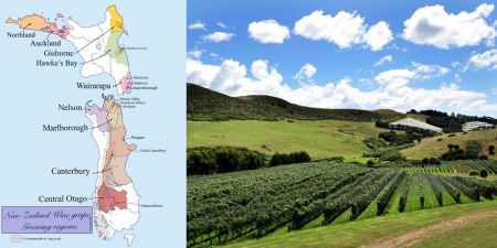 Photo for: Exploring the Diverse Wine Regions of New Zealand