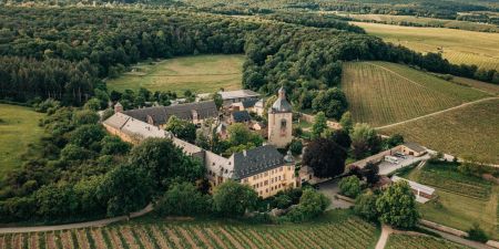 Photo for: The Case for Kabinett: What Schloss Vollrads' Riesling of the Year Means for Restaurant Wine Lists