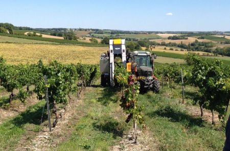 Photo for: White Wine of the Year - 2018 Château de Lacroux/ Vigne de Maurival, Mauzac from France