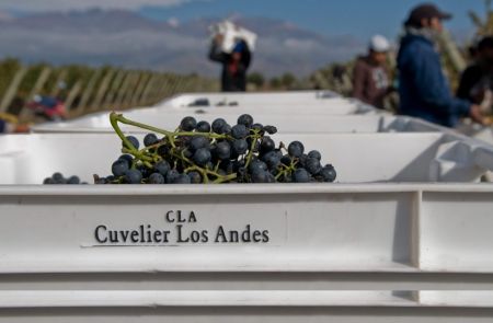 Photo for: Cuvelier Los Andes - Experience Mendoza