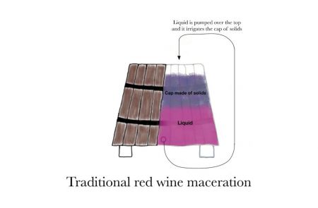 Photo for: Traditional Red Wine Maceration