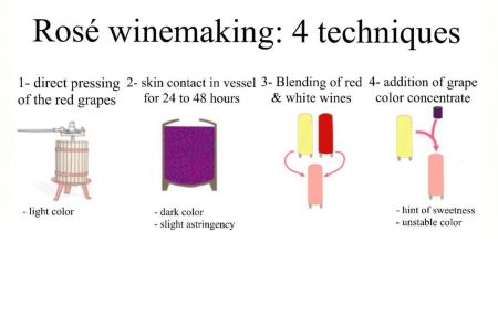 Photo for: Rosé, sparkling and fortified wines basics