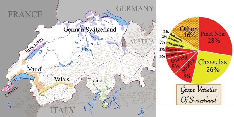 Photo for: Exploration of Switzerland’s Unique Wine Regions