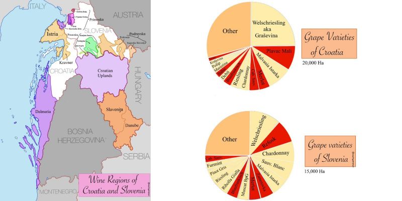 Photo for: Exploring Slovenia's Diverse Wine Regions