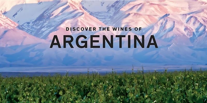 Photo for: Wines of Argentina: Pioneering Sustainability and Export Growth in the National Wine Industry