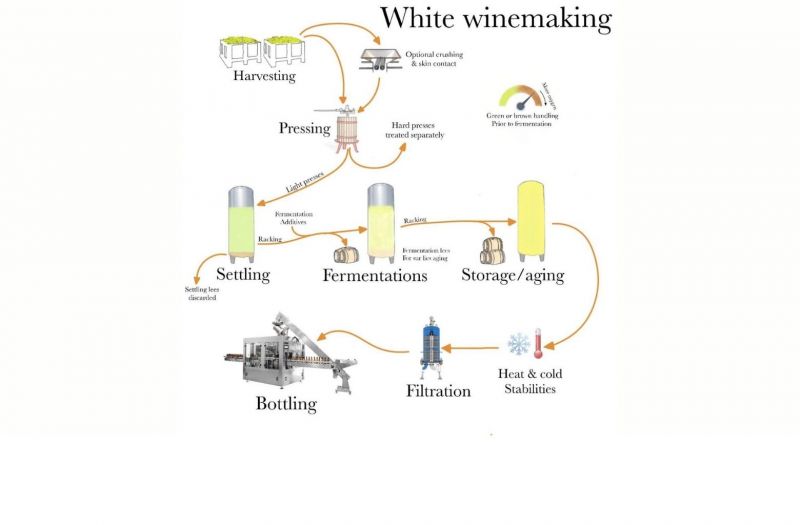 Winemaking